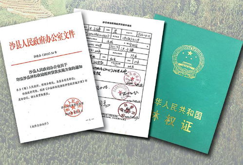 习近平福建行丨走进沙县农村产权交易中心看 林改