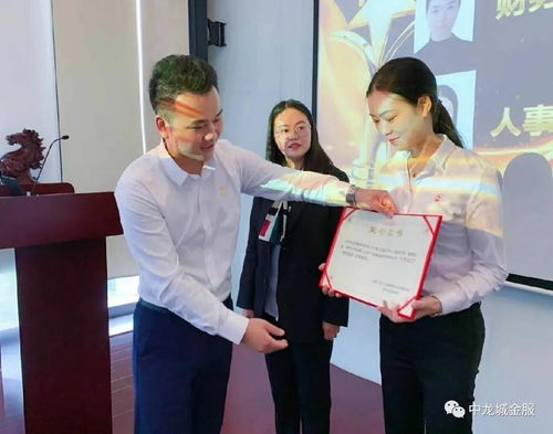 中龙城金服公司简介