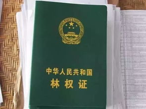 2018年林权抵押 可以贷多少 如何申请