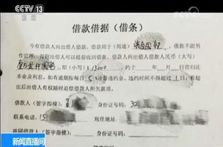 涉黑 套路贷 团伙被端 首犯被判有期徒刑24年