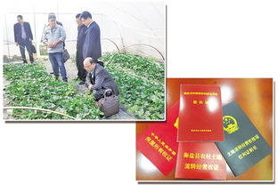 盘活 三权 润 三农